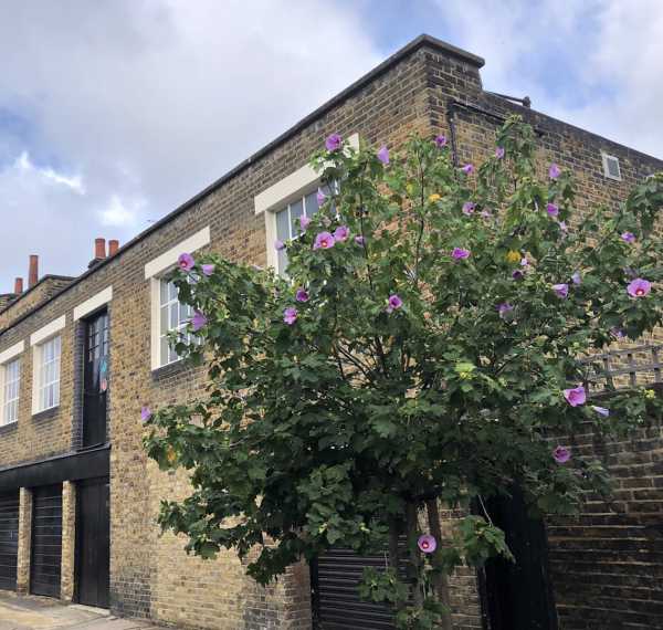 Exterior of Gallery - St Mary's Walk