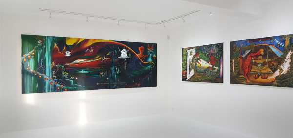 Installation view of The Invisible Forest exhibition