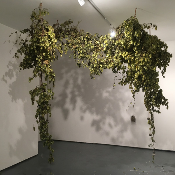 Victoria Adam: OrchardWhiteLightning* at LUNGLEY Gallery