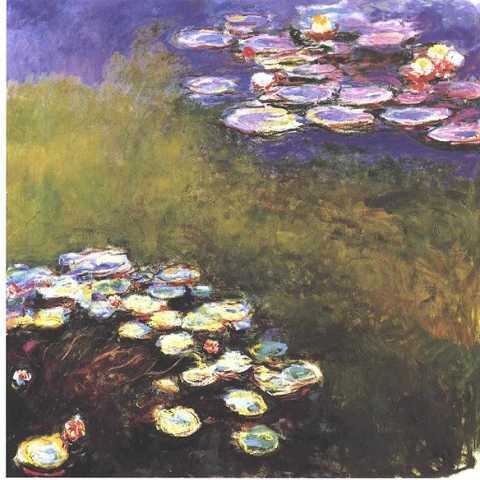 Water-lilies