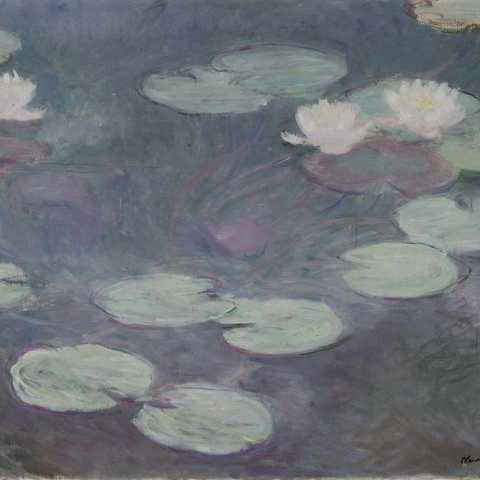 Water-lilies