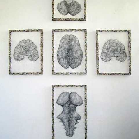 David Marron, Nervous Tissue, 2011