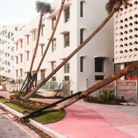 Pink Sidewalk, Florida, 2017. From the series Floodzone. © Anastasia Samoylova