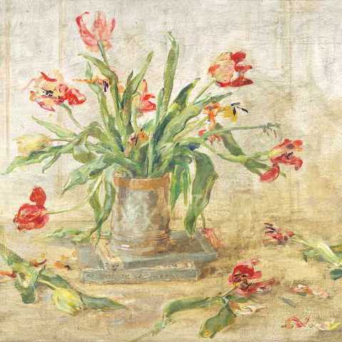 Red Tulips with Stamens ( 41 x 51 cm )
