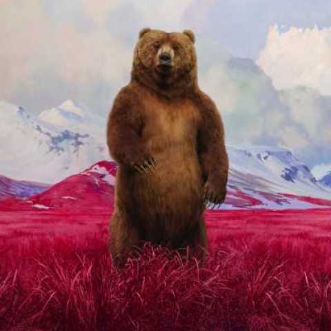 Jim Naughten, Bear, 2021. C-Type. 120 x 100 cm. Courtesy of the artist and Grove Square Galleries.