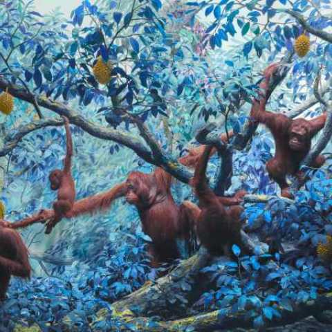 Jim Naughten, Orangutans, 2021. C-Type. 100 x 142 cm. Courtesy of the artist and Grove Square Galleries.