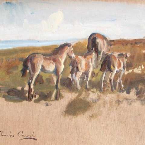 Exmoor Ponies