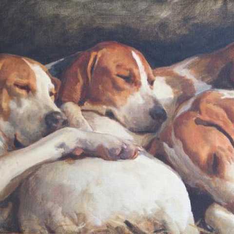 Four Hounds Asleep