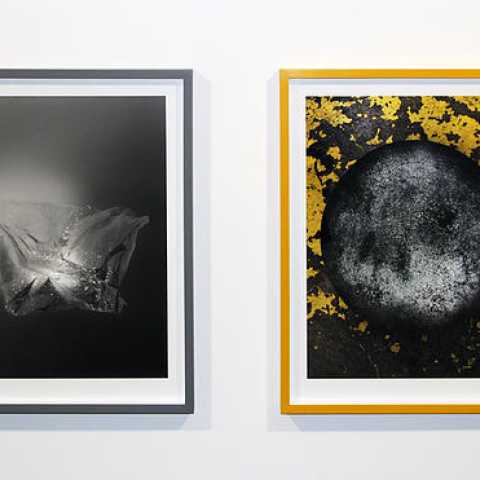 Jessica Rayner - Proof is in the dust