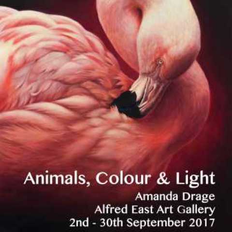 Animals Colour and Light Exhibition poster