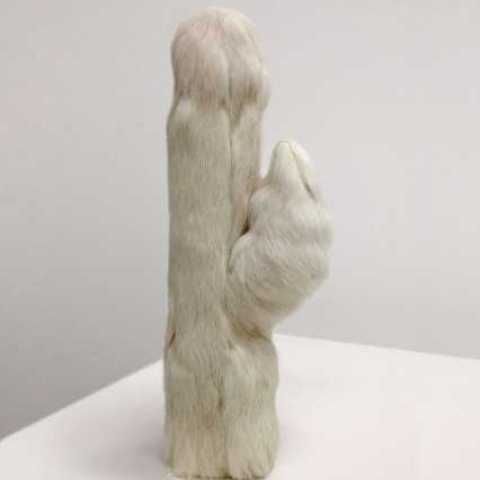 Lisa Snook. Rabbit, with Meret on my mind,