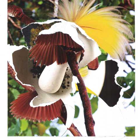 Christopher Doyle, Rapprochement, 2015, collage, 53.4 x 39.6 cm (21 x 15 ½ in)