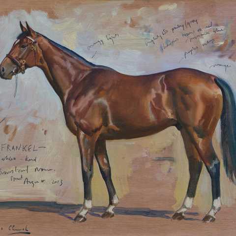 Study of Frankel