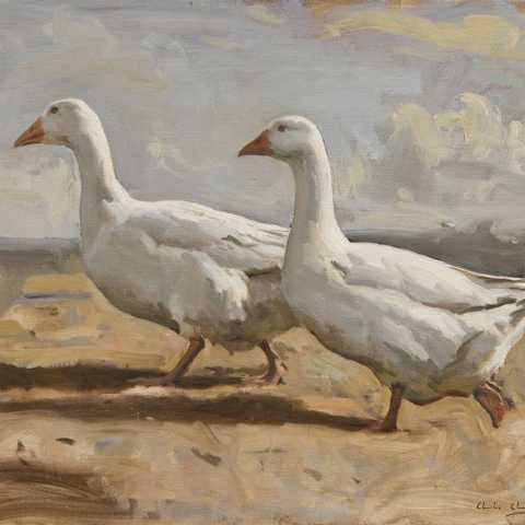 Two Geese
