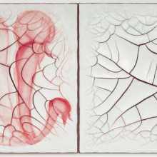Adriana Varejão, Carnívoras Brancas (White carnivorous), 2012, Oil on plaster on canvas, 100x200cm