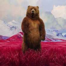 Jim Naughten, Bear, 2021. C-Type. 120 x 100 cm. Courtesy of the artist and Grove Square Galleries.