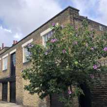 Exterior of Gallery - St Mary's Walk