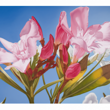Mustafa Hulusi, Cyprus Realism (Oleander 3), 2019, Oil on canvas, 152.4 x 203.2 cm, Courtesy of Pi Artworks and the artist