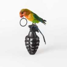 Nancy Fouts, Lovebird with Grenade, Taxidermy lovebird, cast resin hand grenade, 2012, (c) Nancy Fouts, Courtesy of Flowers Gallery